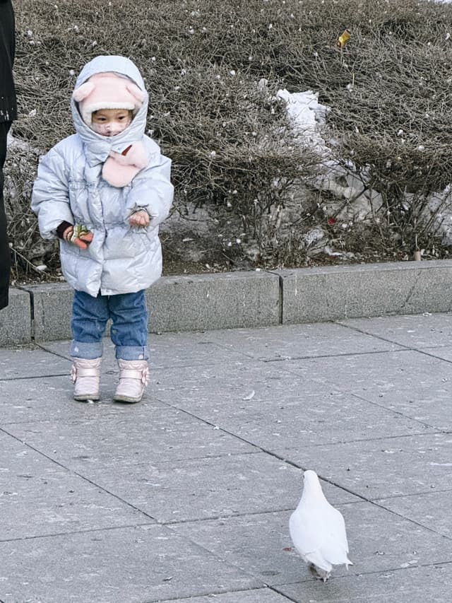 30 1月 25