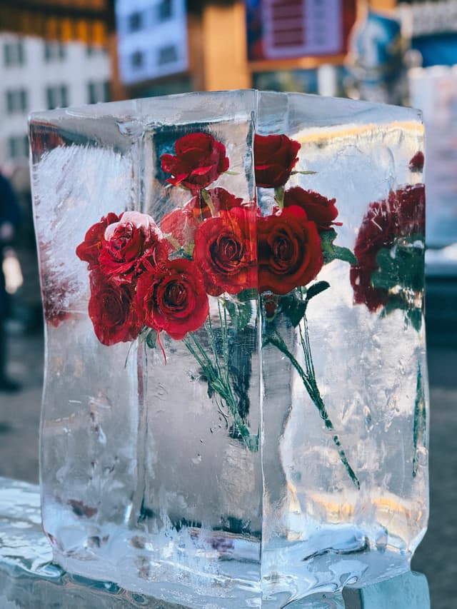 06 2月 25